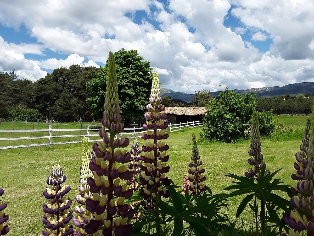 La Bastide Des Pins Hotel