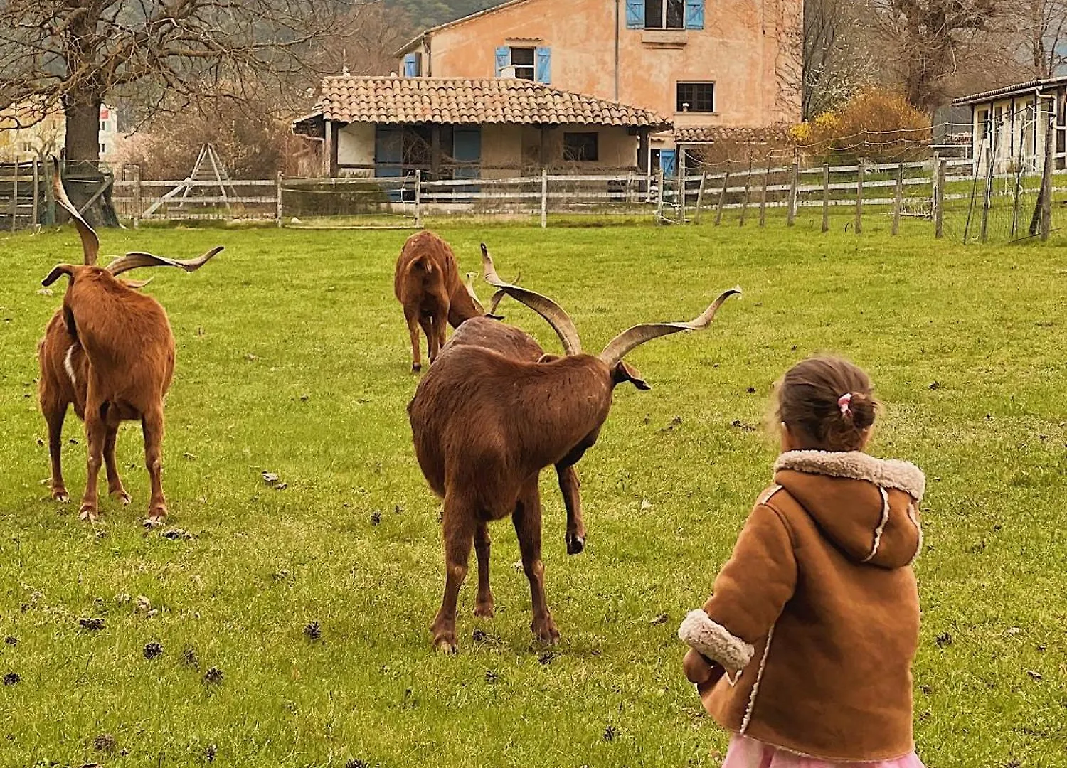 La Bastide Des Pins Bed & Breakfast