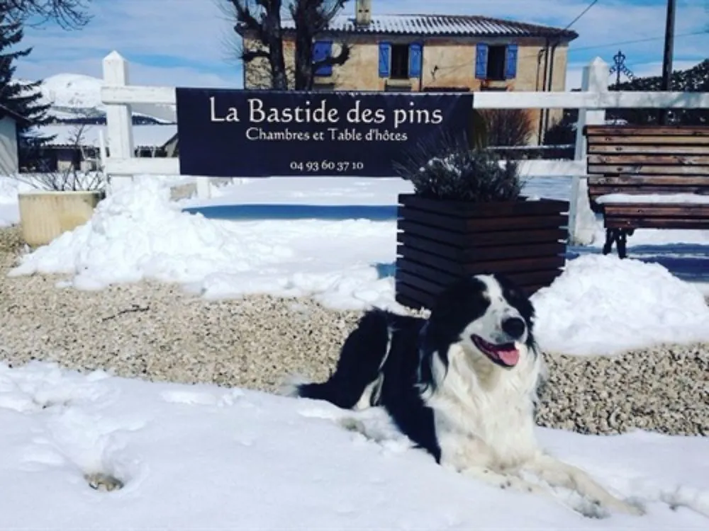 La Bastide Des Pins Bed & Breakfast Guest house La Bastide (Var)